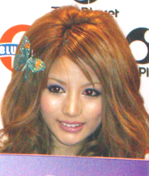 武藤静香（2008年4月撮影）