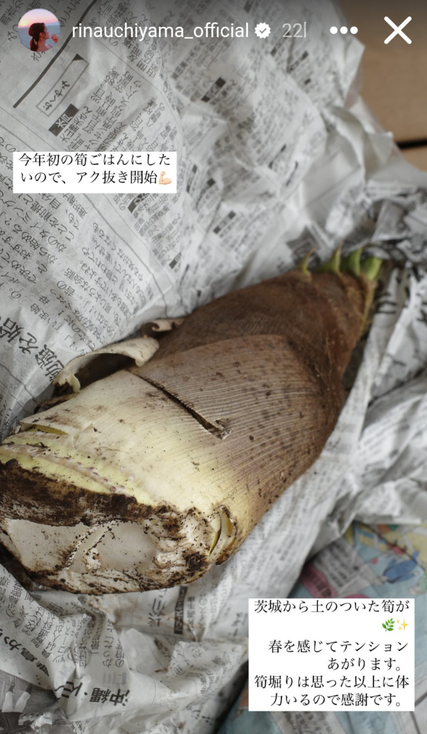 内山理名のインスタグラムから