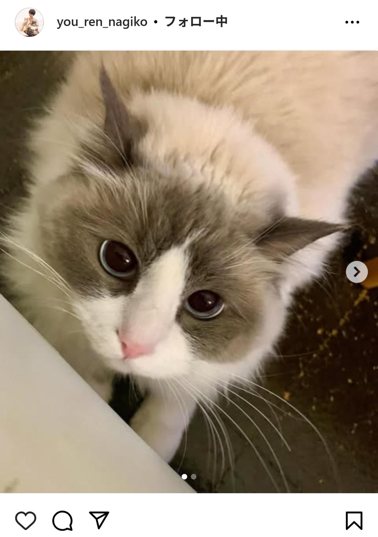 遠野なぎこのインスタグラムから