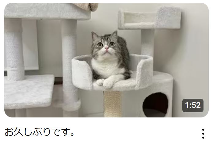 もちまる日記のYouTubeチャンネルから