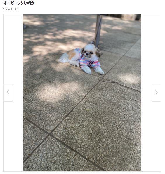 田中健のブログから