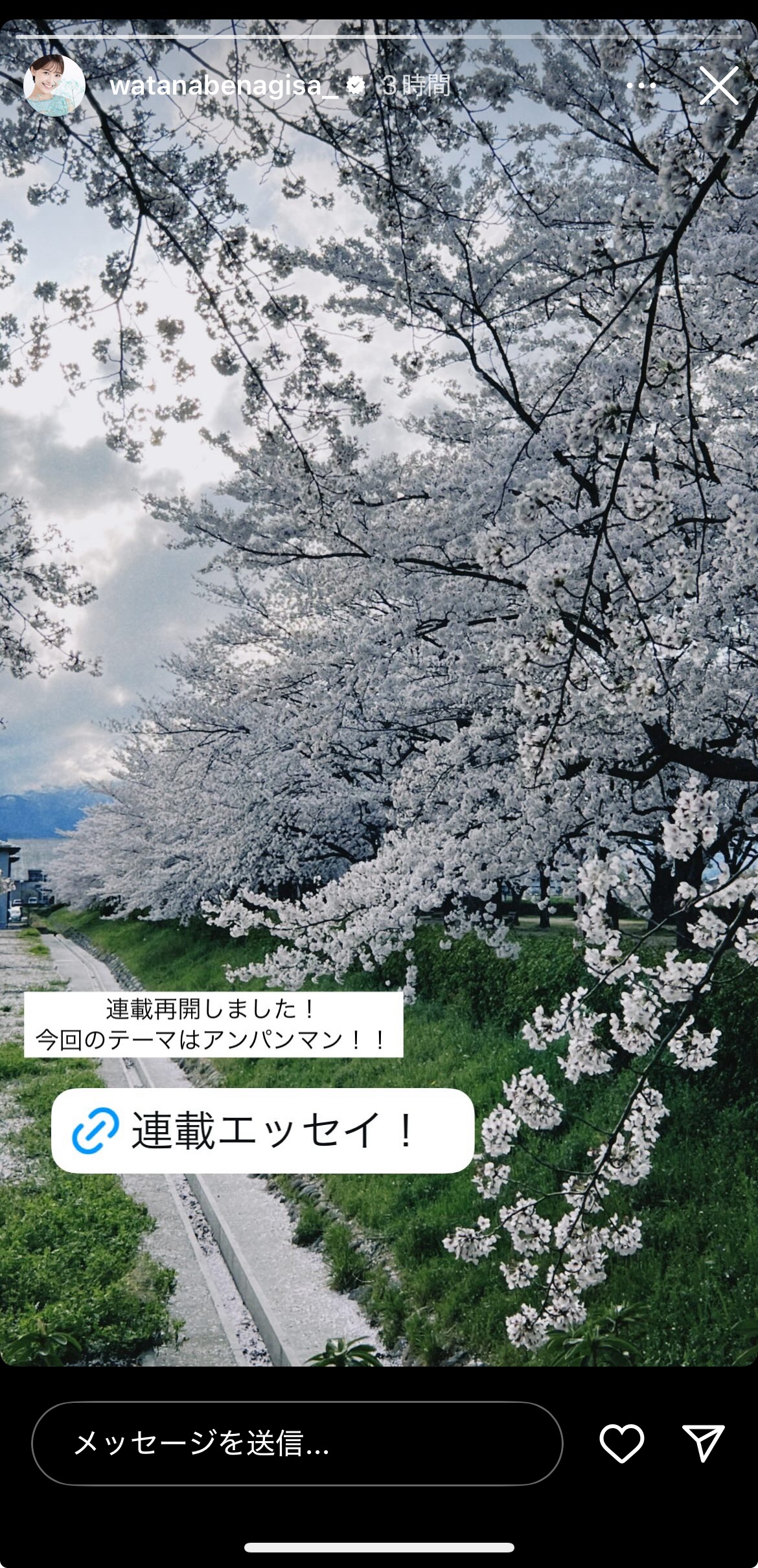 渡邊渚さんのインスタグラムから