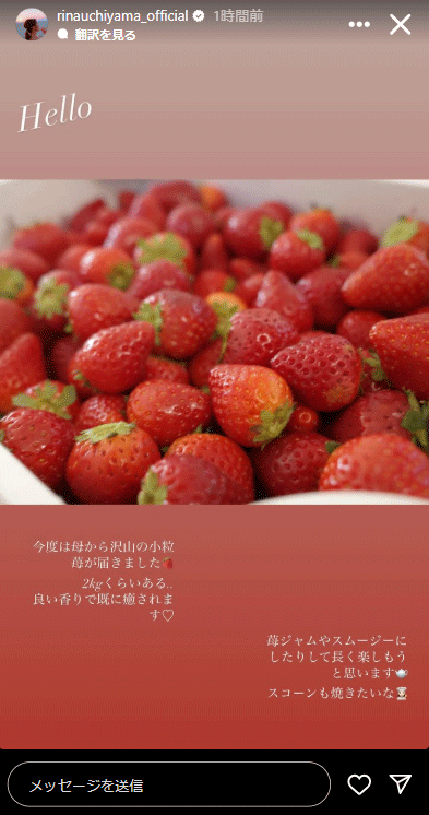 内山理名のインスタグラムから