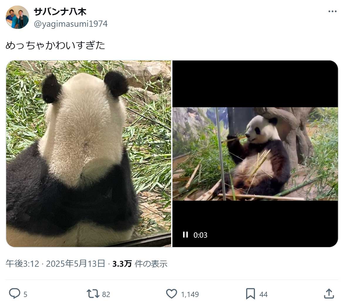 サバンナ八木真澄のX（旧ツイッター）