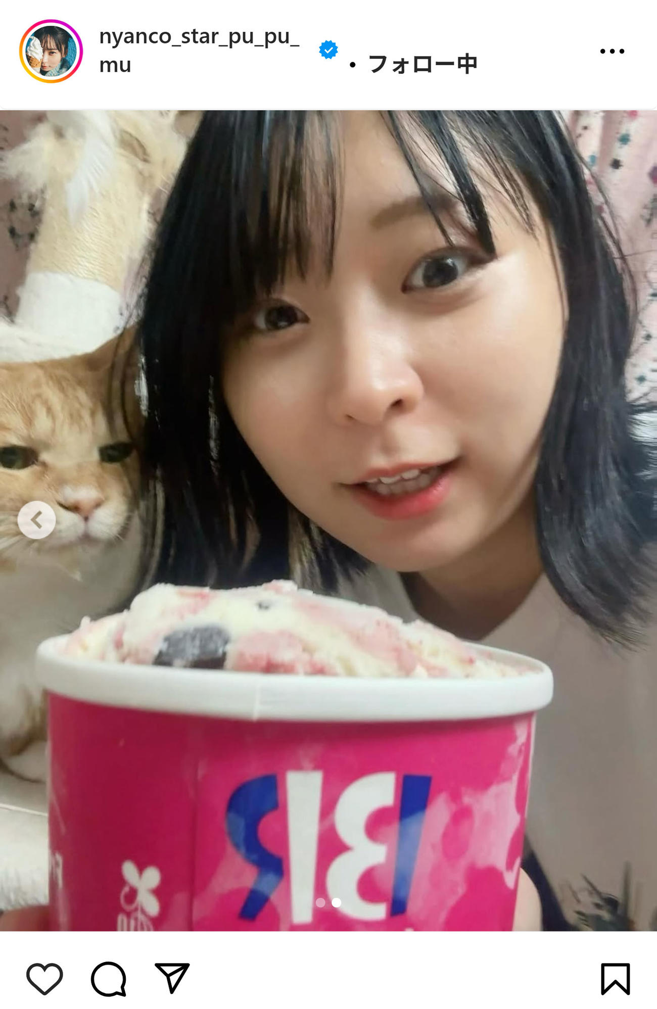 アンゴラ村長のインスタグラムから