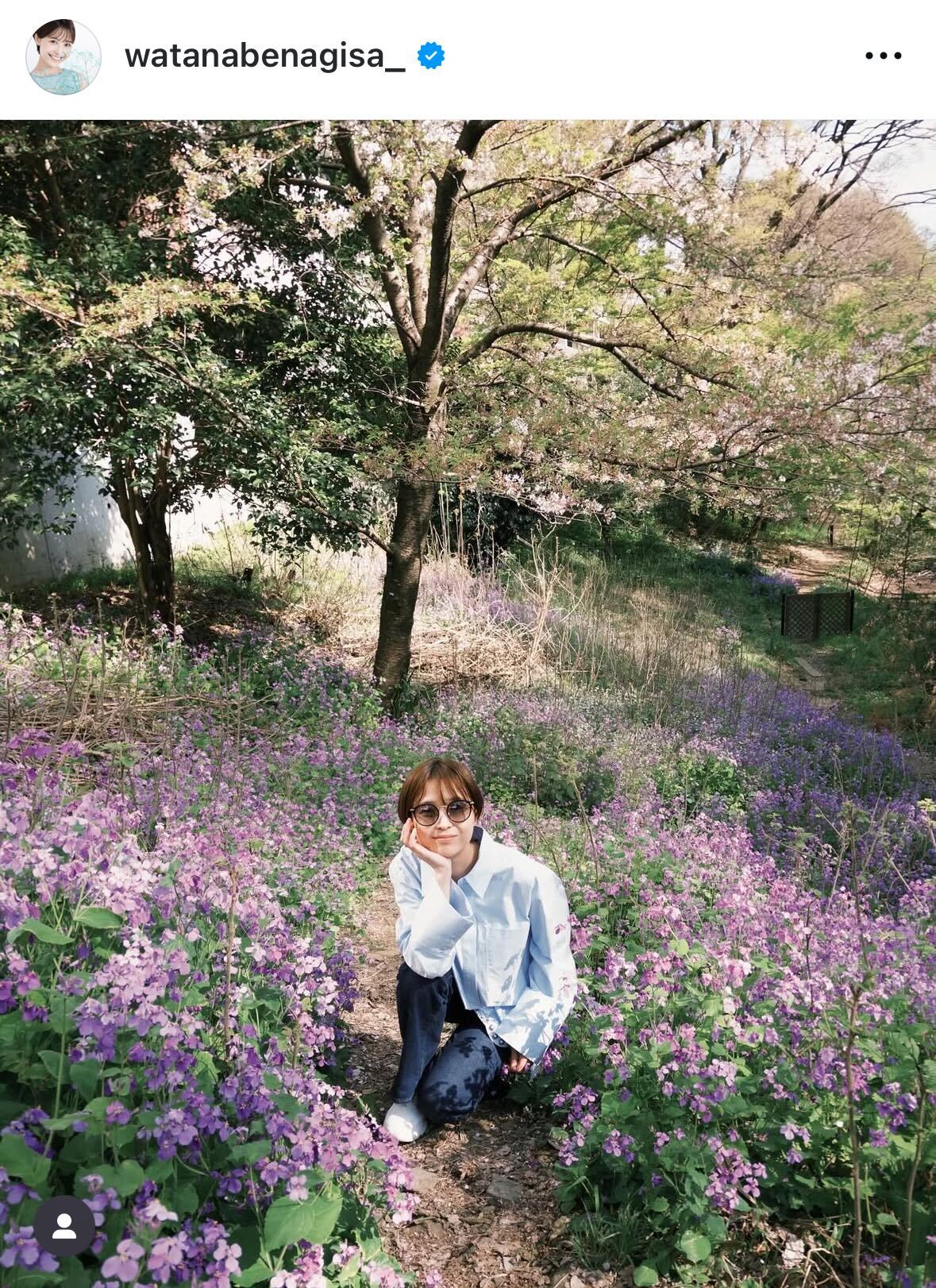 渡邊渚のインスタグラムから