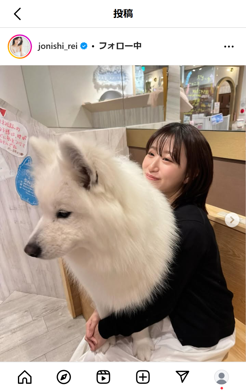 「もふもふ」サモエドと（インスタグラムから）