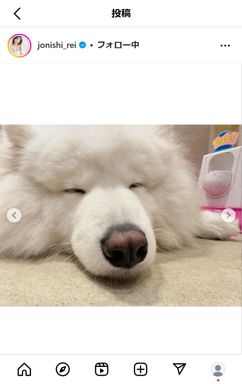 上西怜のインスタグラムから