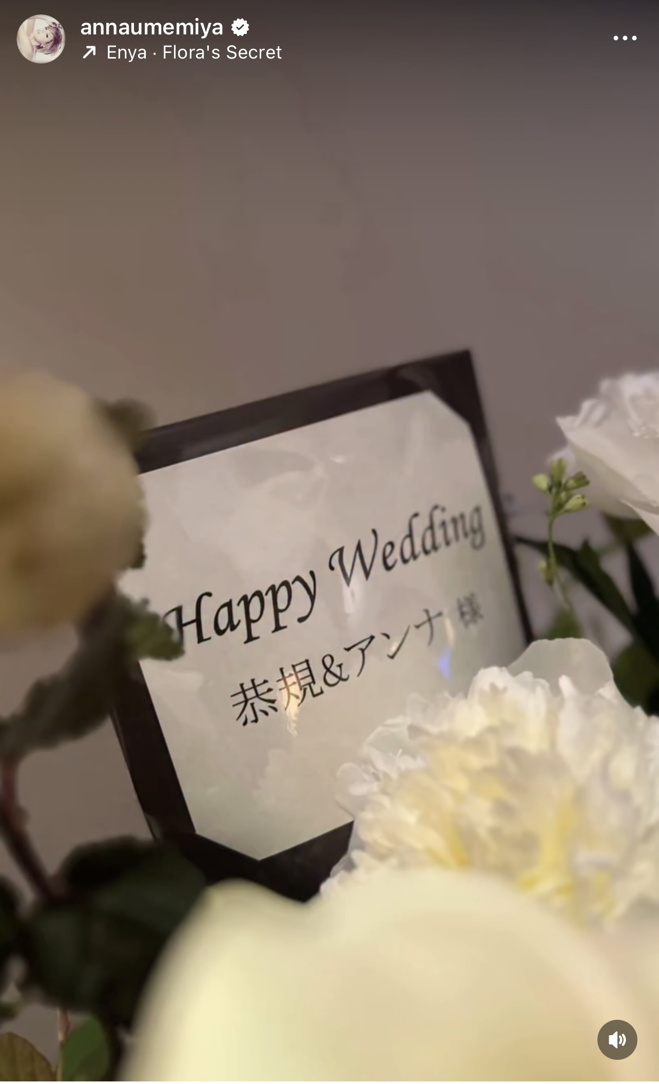 梅宮アンナのインスタグラムから