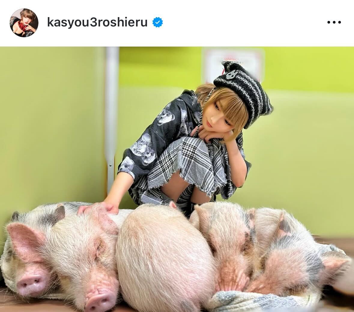 5匹の小ブタを子守する火将ロシエル（インスタグラムから）
