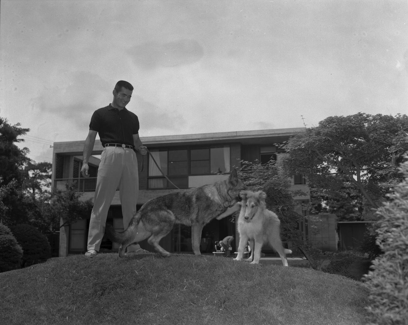 犬とたわむれる巨人長嶋茂雄さん（1961年5月）