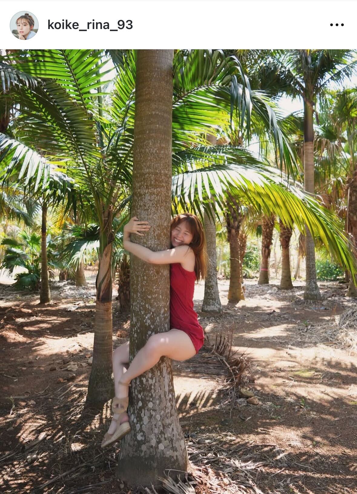 赤いミニワンピでヤシの木に抱き着く（小池里奈のインスタグラムから）