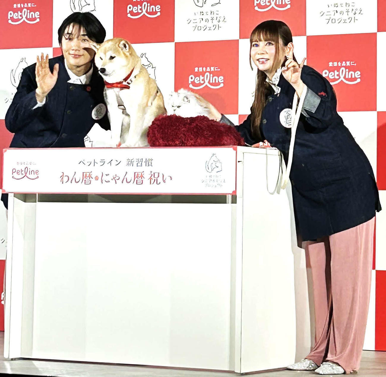 中川翔子＆寺田心が犬猫愛語る 祖父母が猫きっかけで成婚の中川
