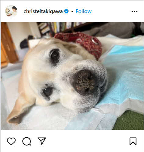 6月6日の滝川クリステルのインスタグラムから