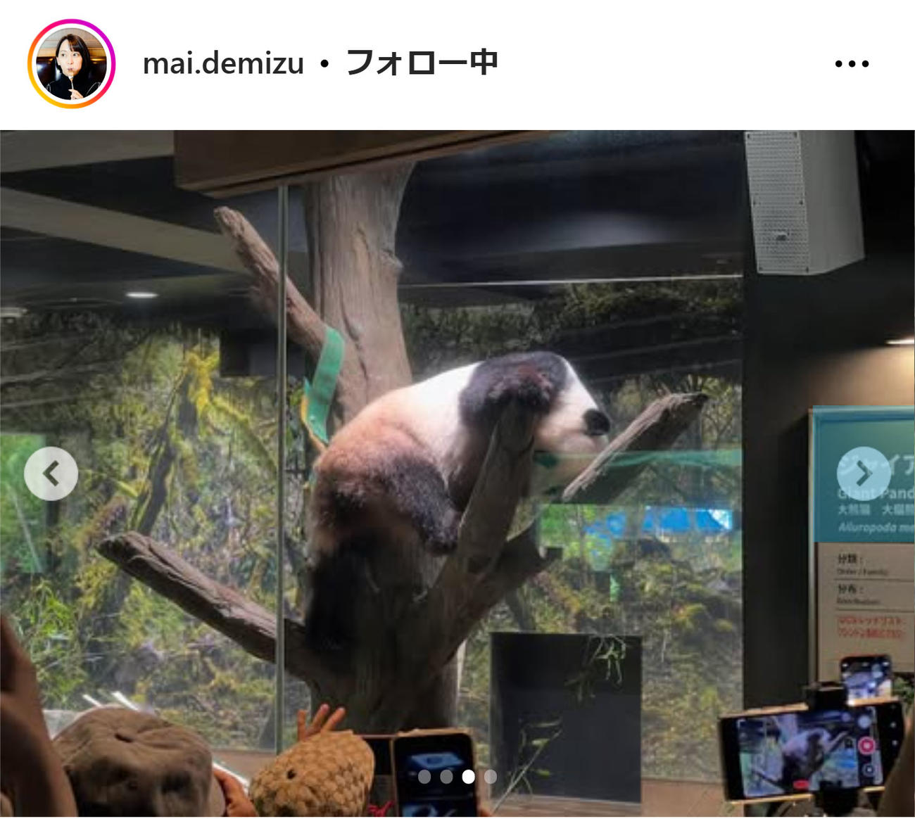 出水麻衣アナのインスタグラムから