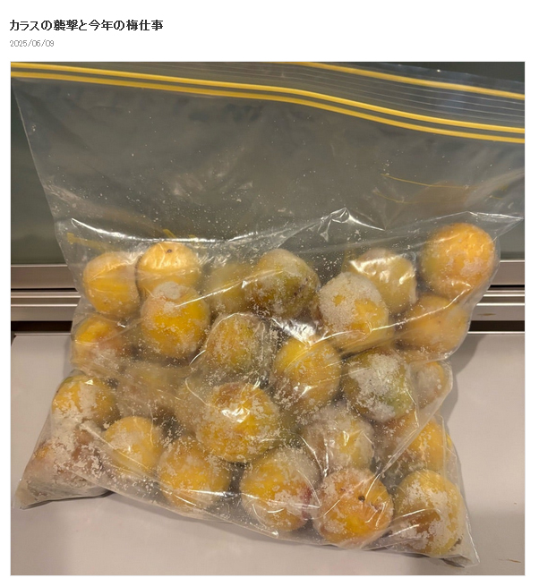 水野真紀のブログから