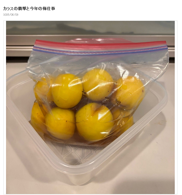 水野真紀のブログから