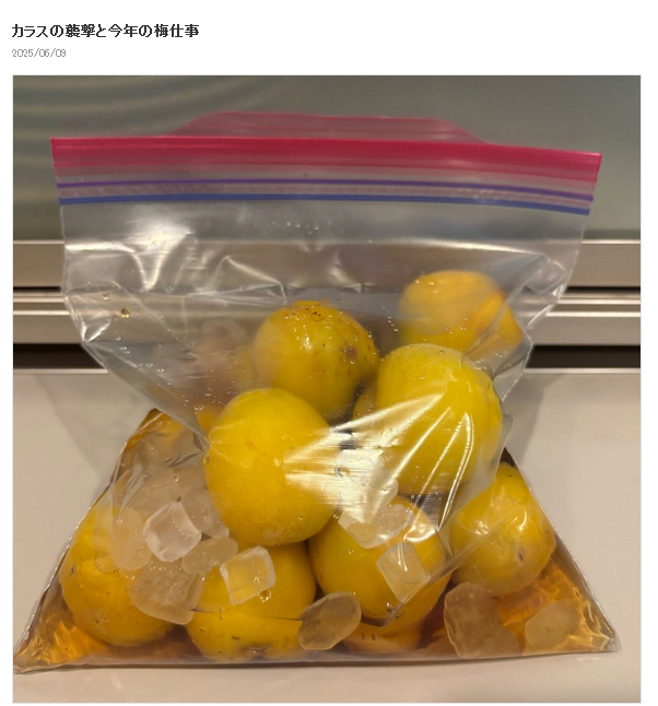 水野真紀のブログから
