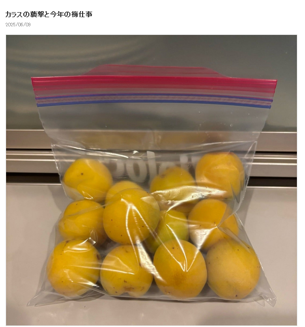 水野真紀のブログから