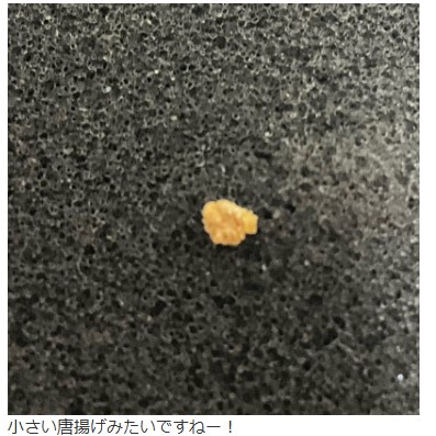 サンド富澤のブログから