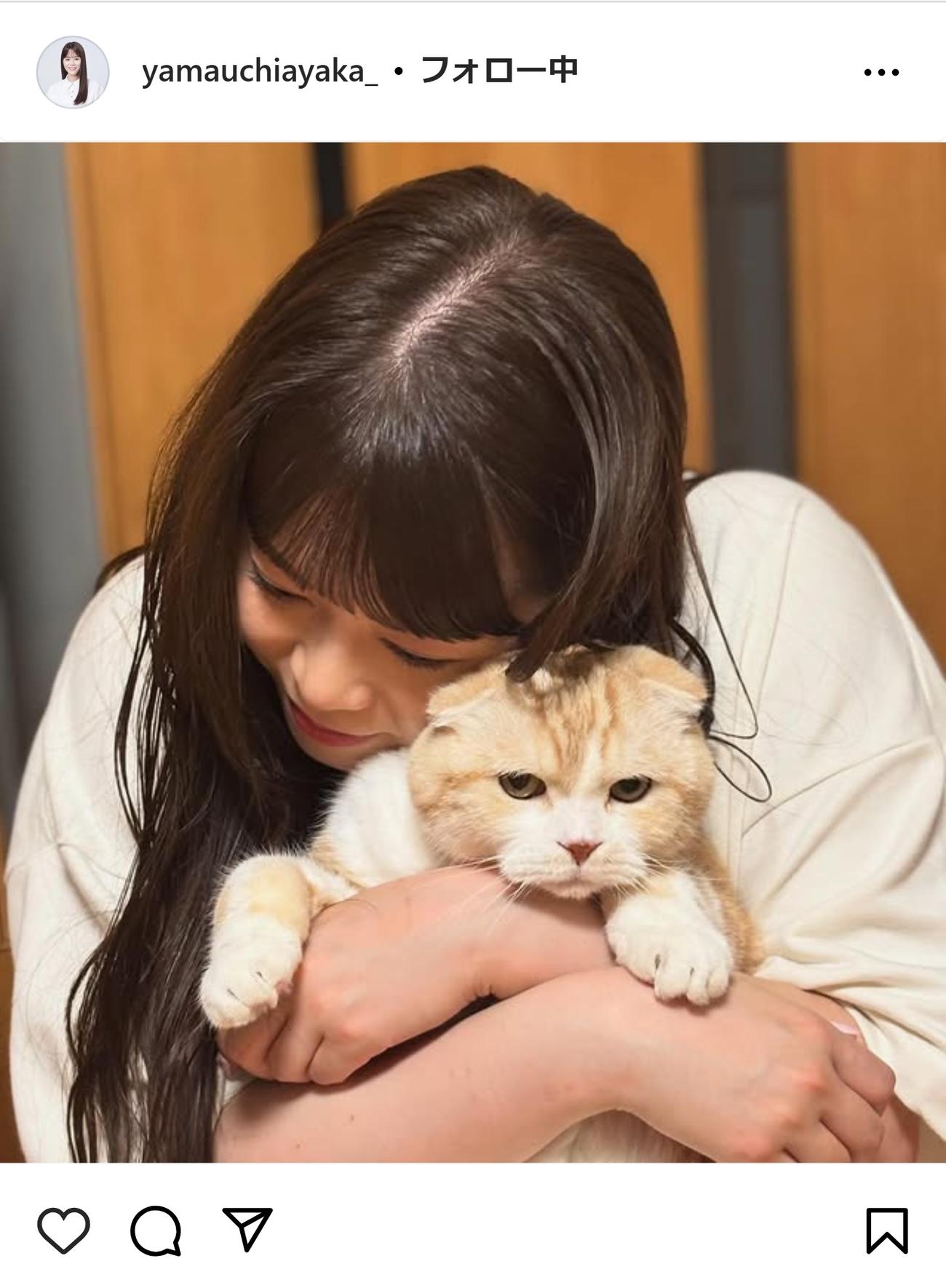 猫を抱く山内彩加アナ（山内彩加アナのインスタグラムから）