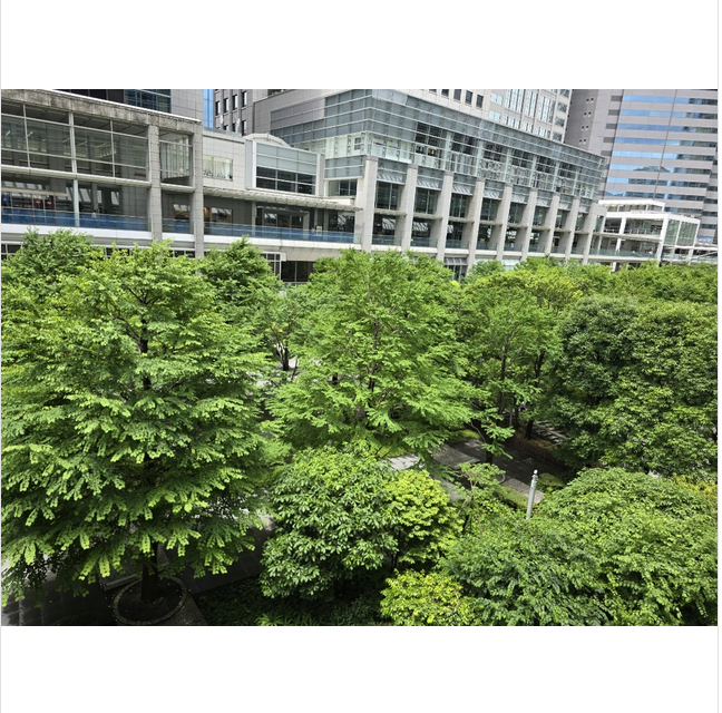 高橋英樹のブログから