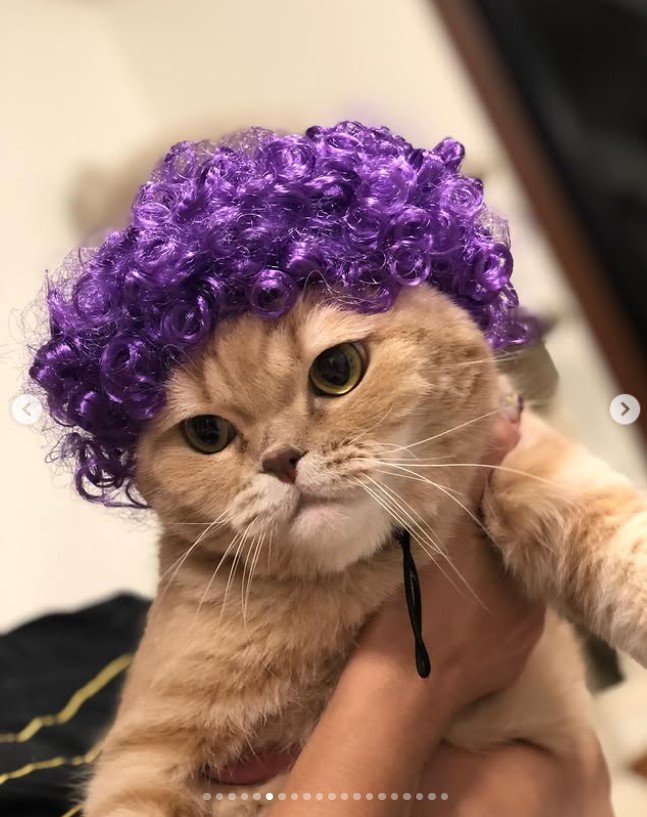 生前のぜっちゃん（高城れにのインスタグラムから）