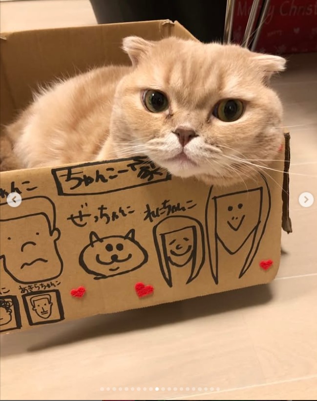 生前のぜっちゃん（高城れにのインスタグラムから）