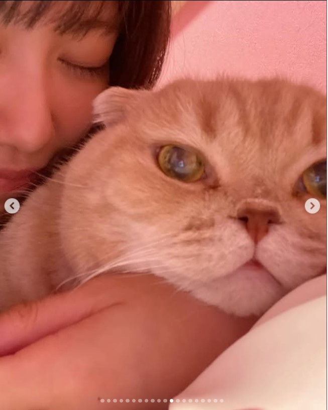 生前のぜっちゃん（高城れにのインスタグラムから）