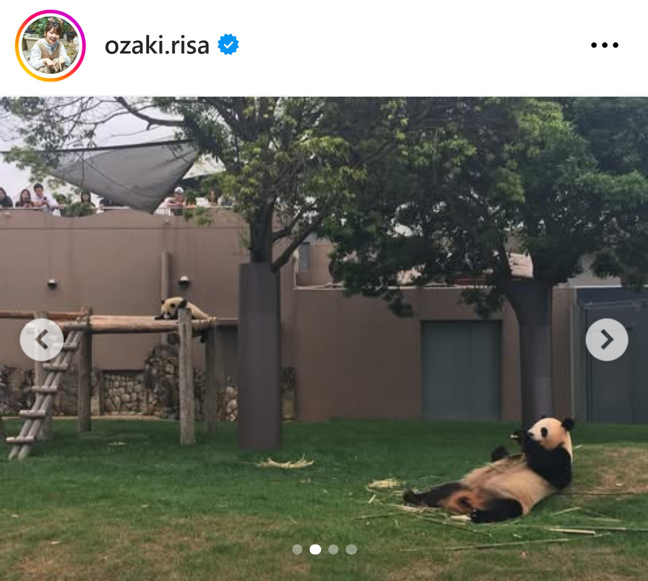 尾崎里紗のインスタグラムから