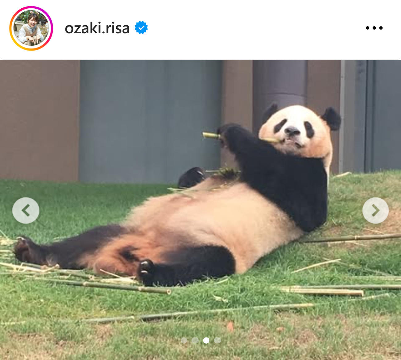 尾崎里紗のインスタグラムから