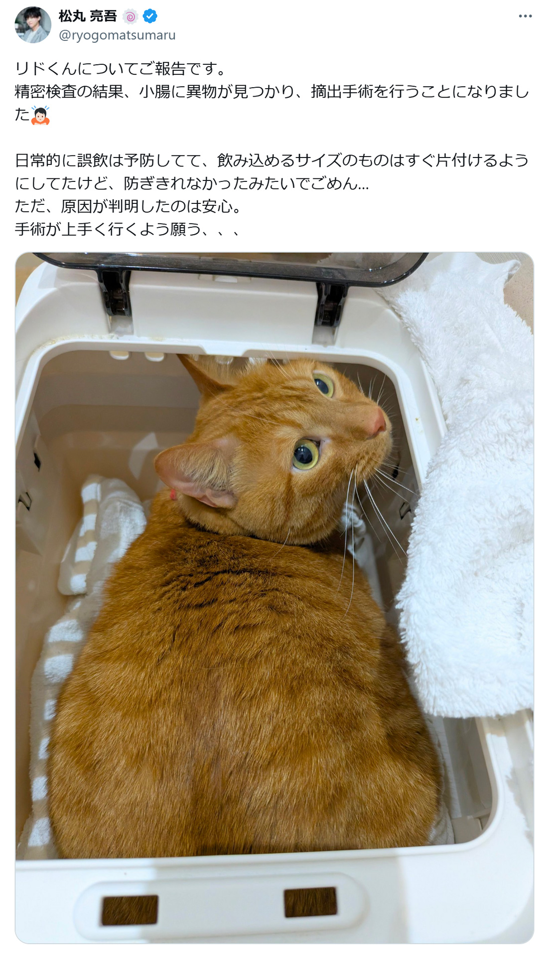松丸亮吾のXから