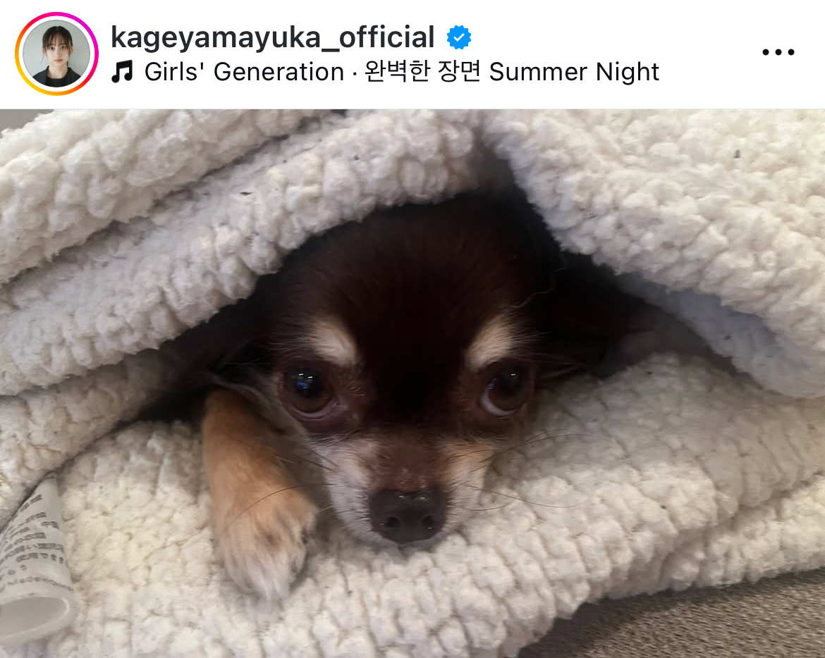 影山優佳のインスタグラムから