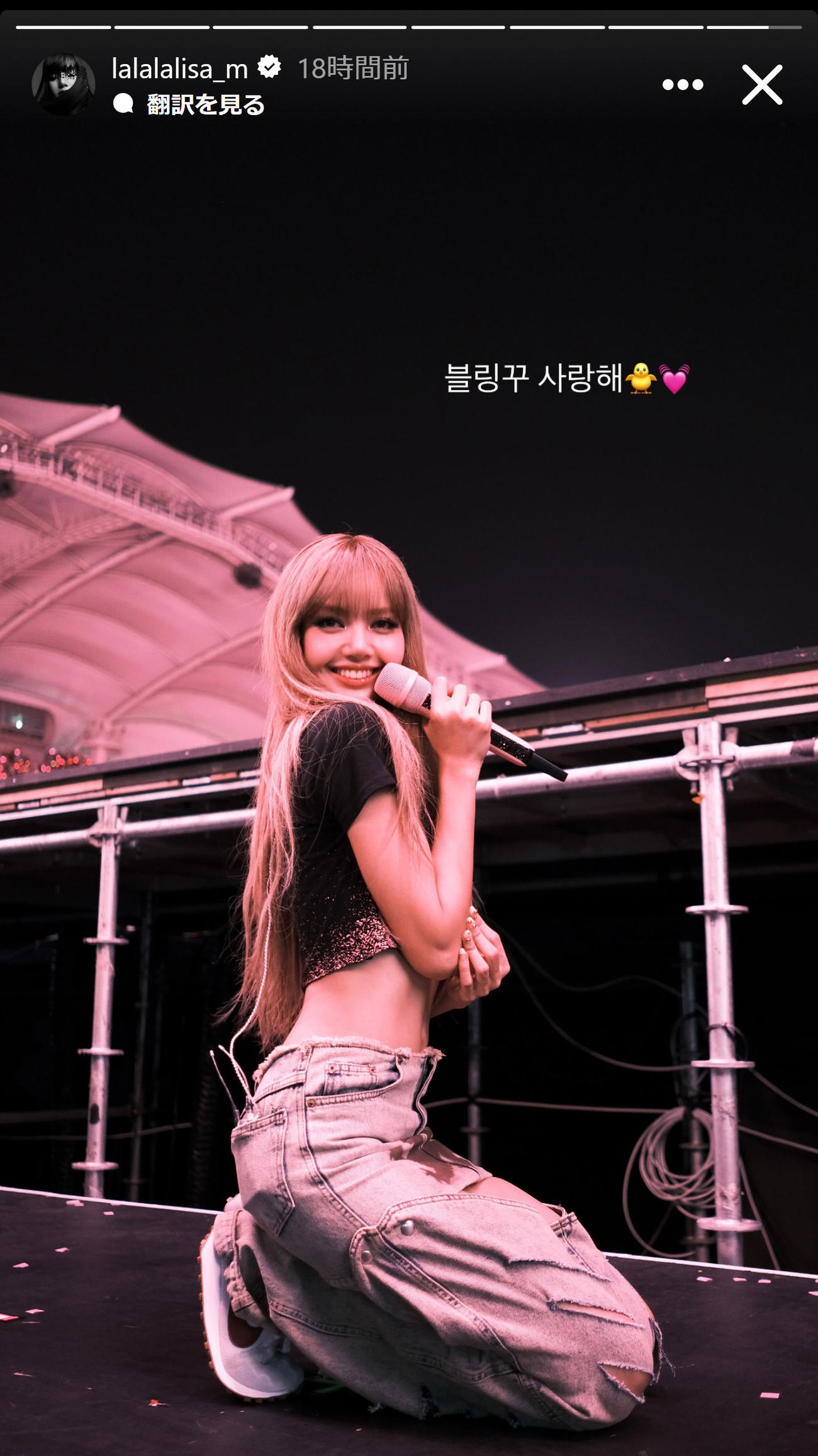 BLACKPINKリサのインスタグラムから