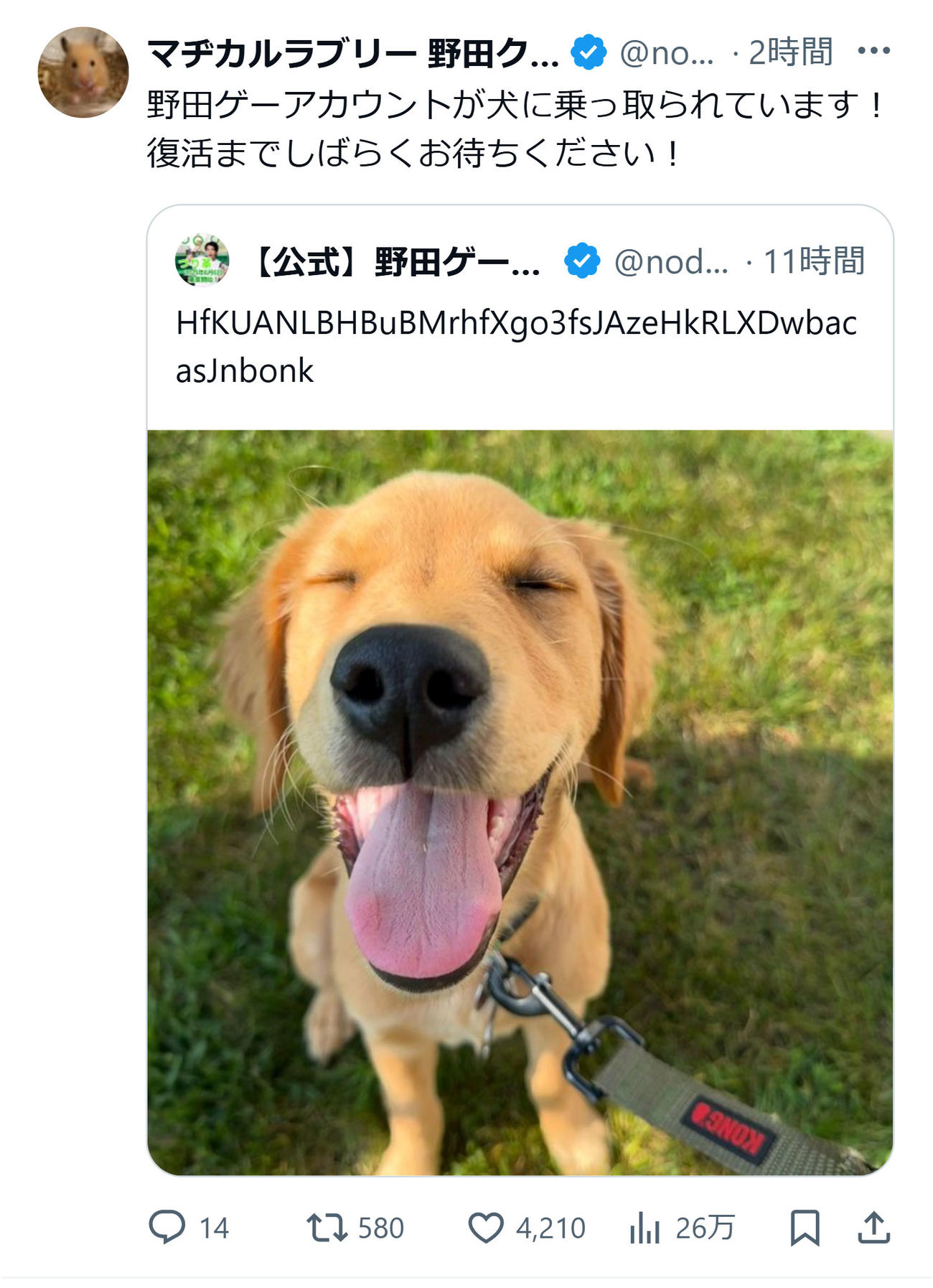 野田クリスタルのXから