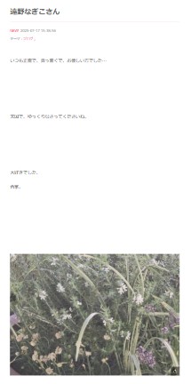 山田美保子氏のブログから
