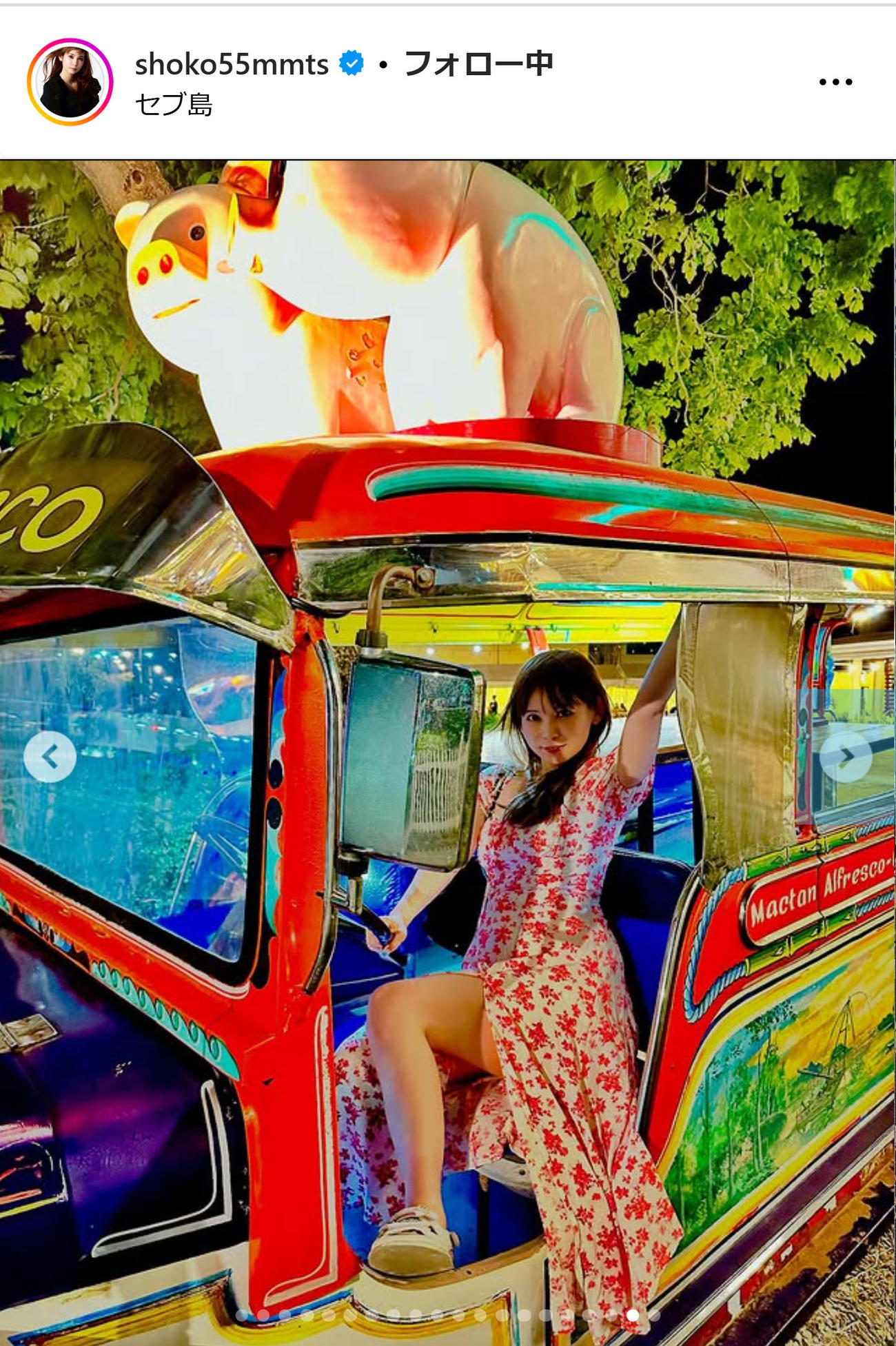 中川翔子のインスタグラムから