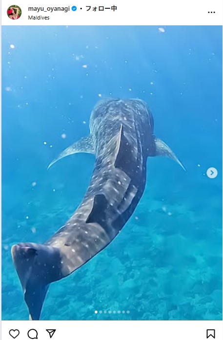 大柳麻友のインスタグラムから
