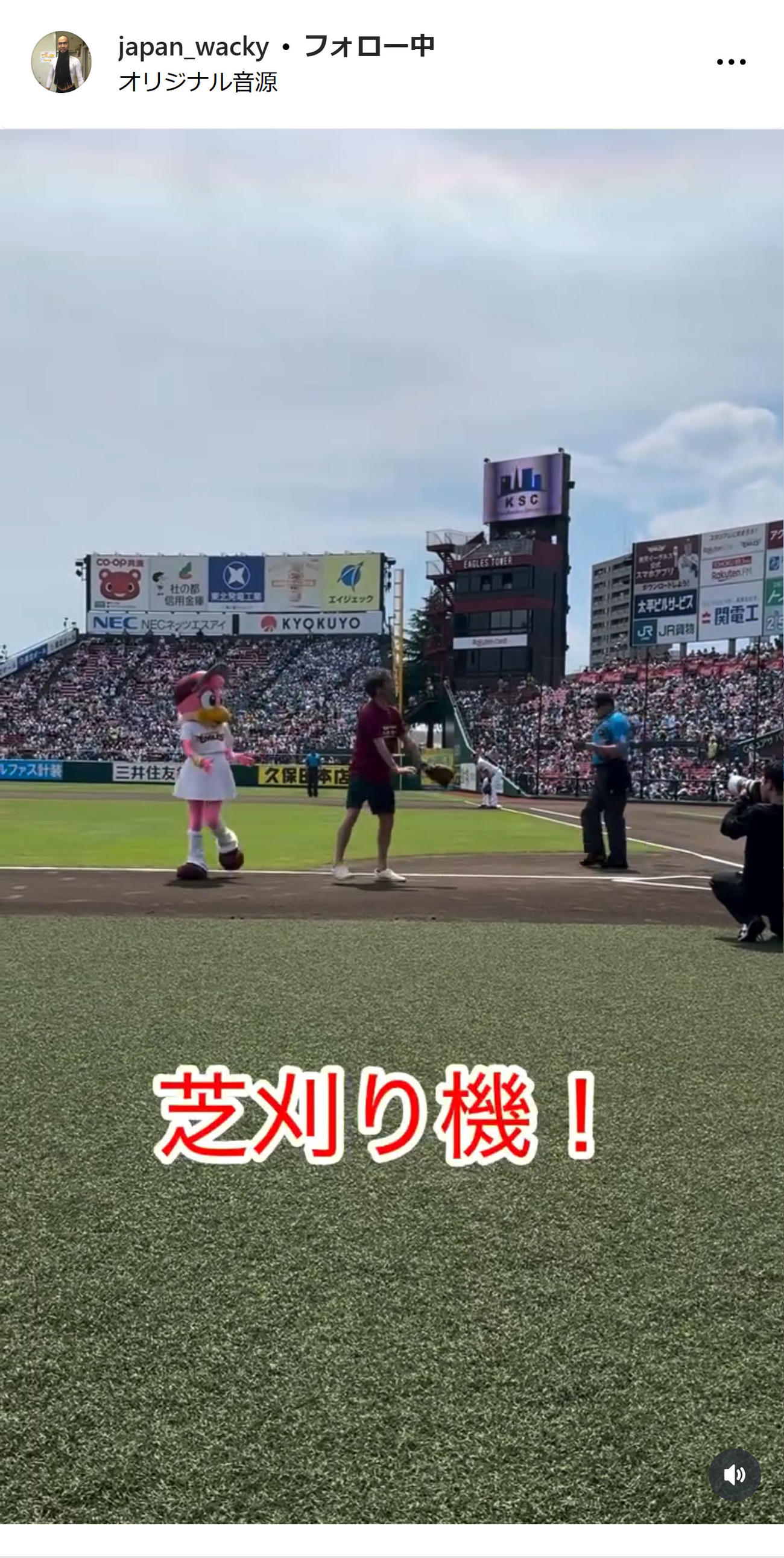 ワッキーのインスタグラムから