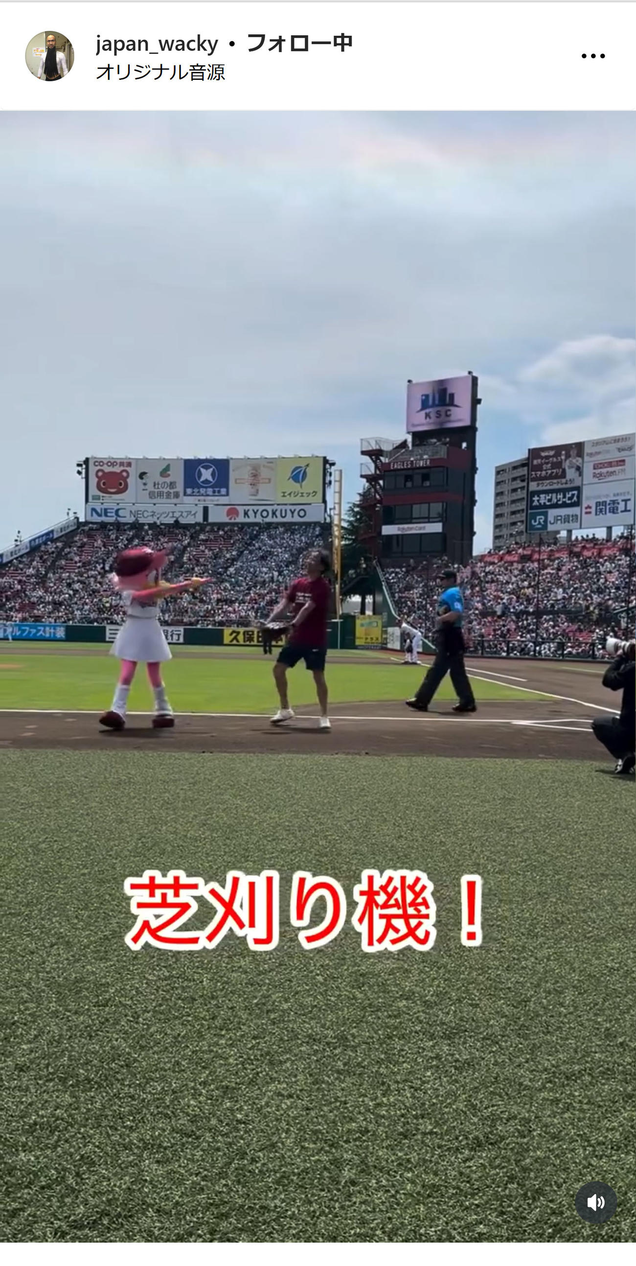 ワッキーのインスタグラムから
