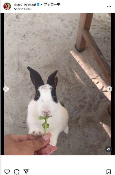 大柳麻友のインスタグラムから