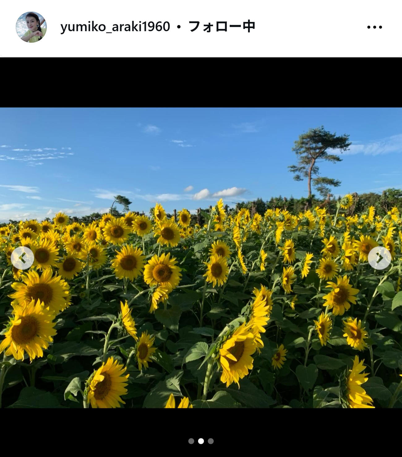 荒木由美子のインスタグラムから