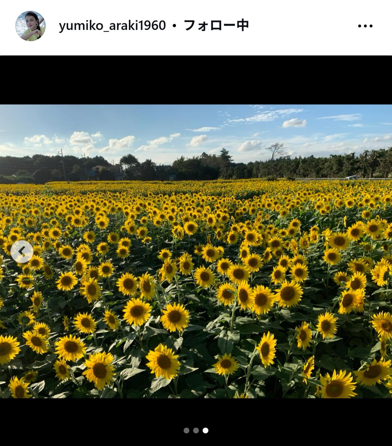 荒木由美子のインスタグラムから