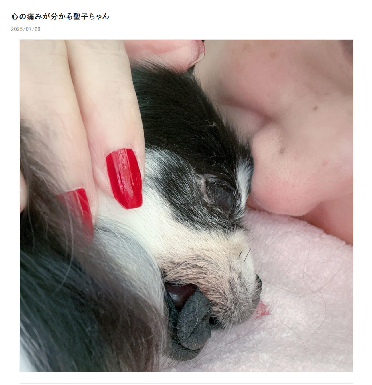 小柳ルミ子のブログから