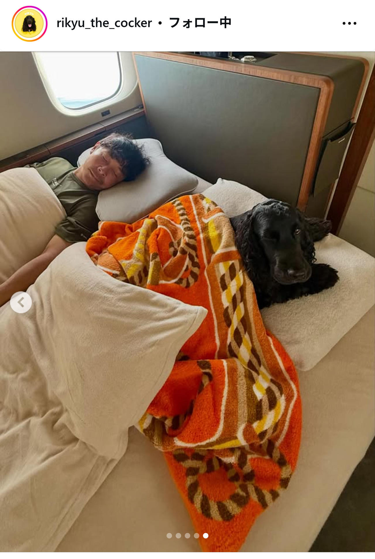 前澤友作氏の愛犬「利休」のインスタグラムから