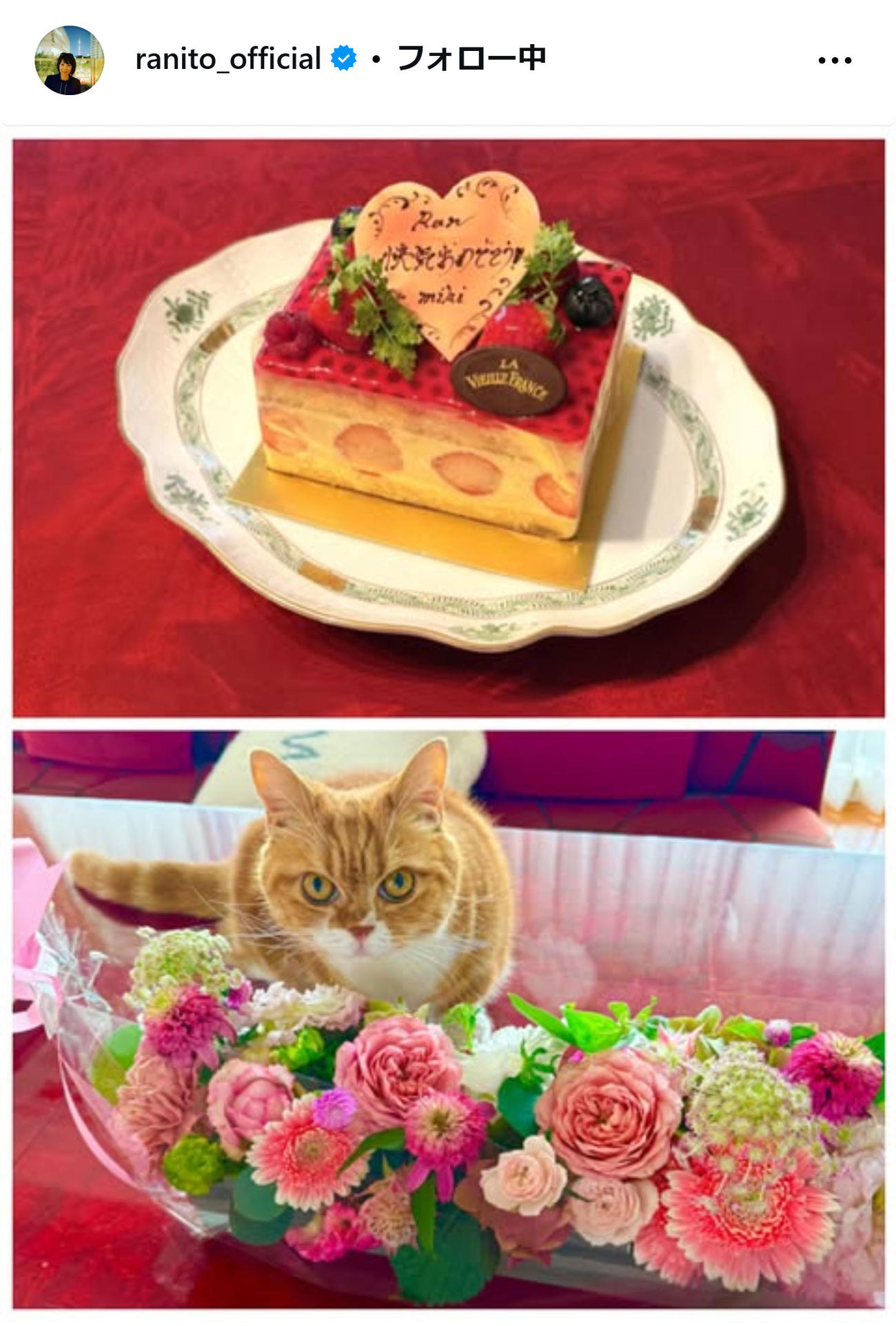 伊藤蘭のインスタグラムから