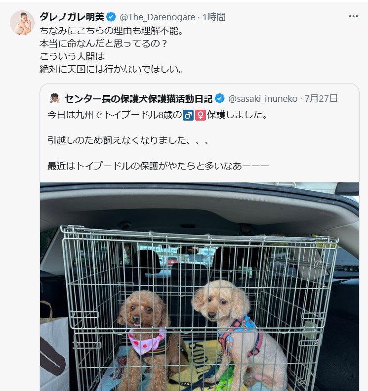 ダレノガレ明美のXから