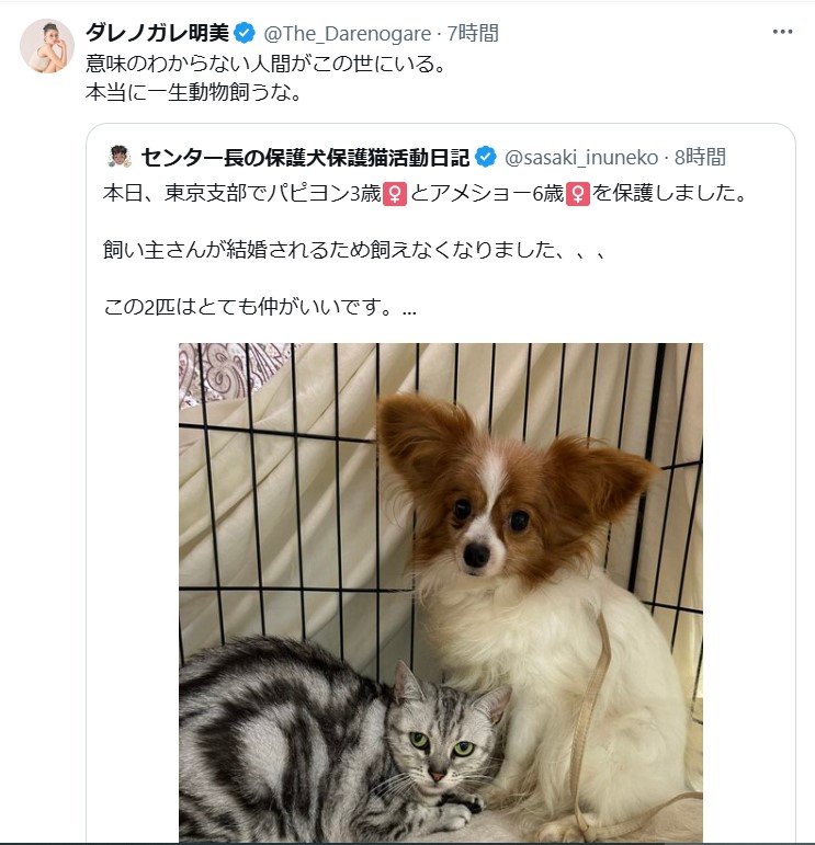 ダレノガレ明美のXから