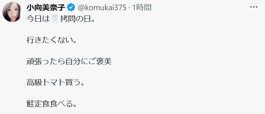 小向美奈子のXから