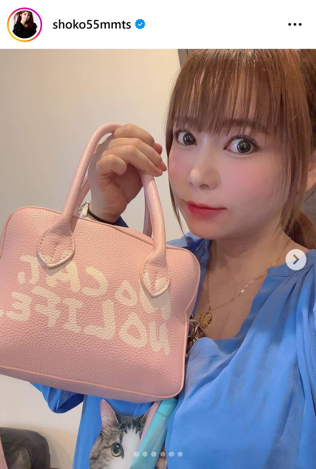中川翔子のインスタグラムから